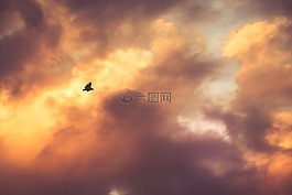 天空,日落,日出