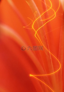 能源,橙,電源