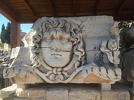 apollon 寺,螺,火鸡