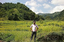 男人站,綠色的田野,農業