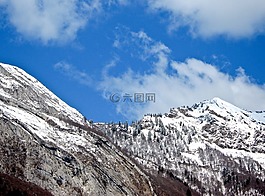 阿爾卑斯山,山,雪