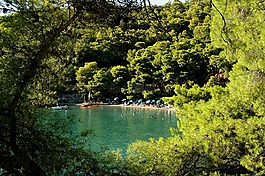商人,海灘,希臘