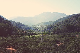 自然,景觀,谷