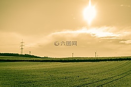 字段,耕地,太陽