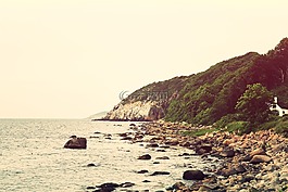 海岸,岸,野生