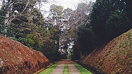 方式,路徑,車(chē)道