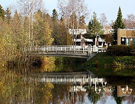 芬蘭,橋,河
