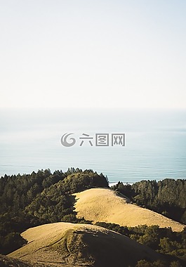 自然,綠色,海洋