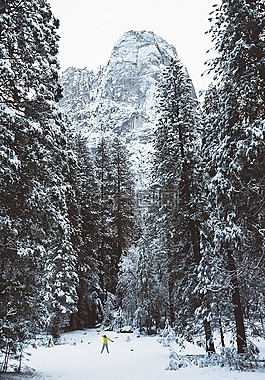冬天,雪,冷