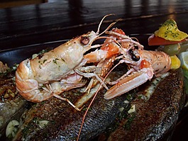 魚板,海,螃蟹