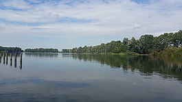 性質(zhì),水,沉默