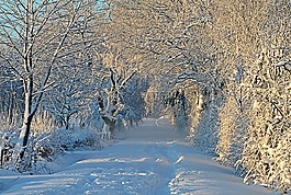 冬天,寒冬,雪