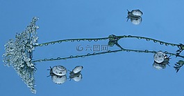 蝸牛,殼,反射