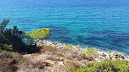 海,太陽,海灘