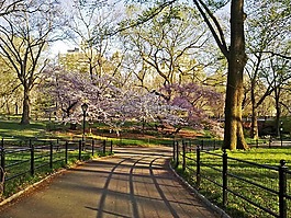 中央公園,紐約,曼哈頓