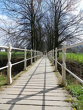 橋,通路,自然