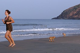 小狗,海滩,kudle