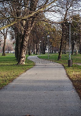 公園,走道,路徑
