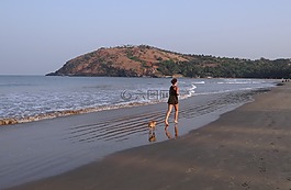小狗,海灘,沙