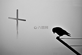 交叉,祈祷,基督教