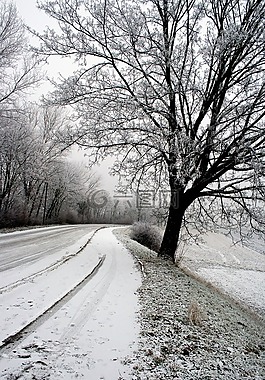 冬天,雪,斯诺巷