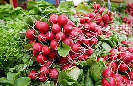 蘿卜,蔬菜,食品