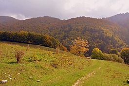 普拉托,山,草