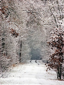 冬天,雪,斯諾巷