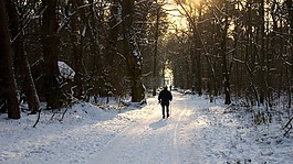 冬天,雪,斯諾巷