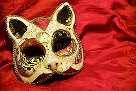 掩码,猫,嘉年华