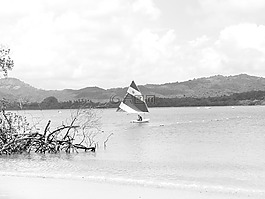 帆,體育,海