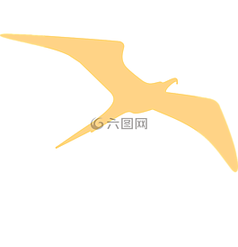 金,鳥,飛行