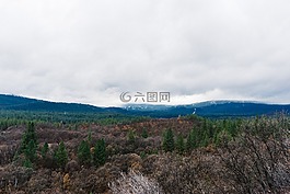 山,丘陵,字段