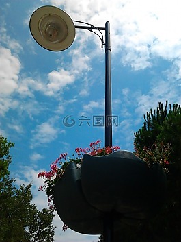燈,ganesh,花卉