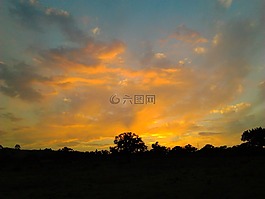 太陽(yáng)能,云,樹(shù)