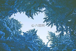 自然,景觀,山