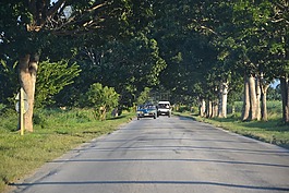 路,哈瓦那,市容