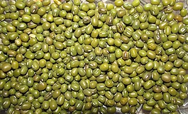 豆科植物,豆,食品