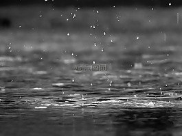 雨,滴,黑色和白色