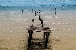 橋,海灘,海