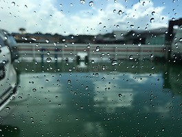 雨,雨點,滴