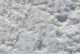 雪,冷,冬天