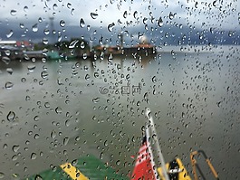 雨,雨點,滴