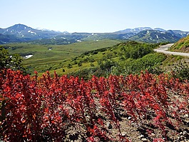 山,火山,苔原