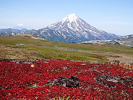 山,火山,苔原