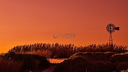 風(fēng)車(chē),日落,蘆葦