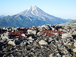 山,火山,苔原