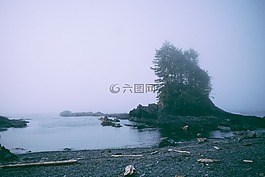 景觀,灣,科夫