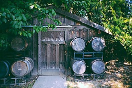 小屋,棚,房子