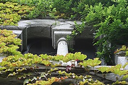 窗口,石,架構(gòu)